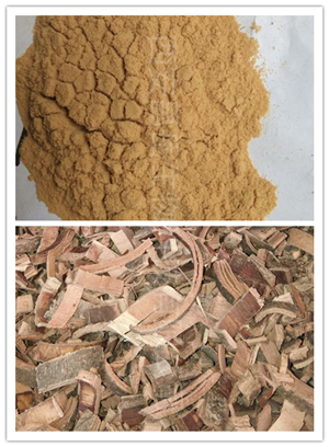 秦皮提取物、白蠟樹提取物